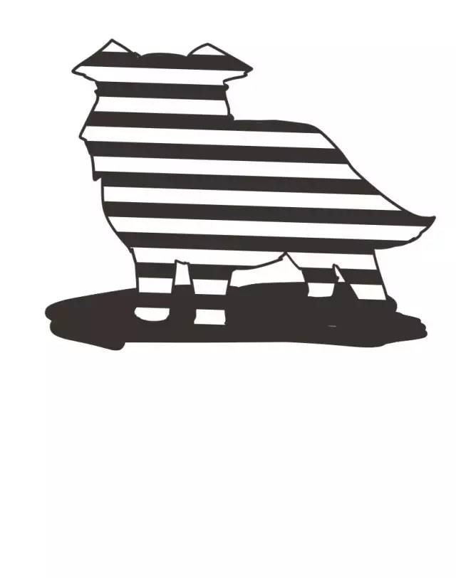 边牧的智商真的有6-8岁那么高吗,边牧和巴拉布拉多他俩谁的智商高