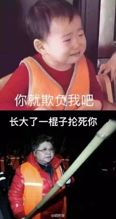 太搞笑了图片,搞笑照片看你们能憋几秒不笑