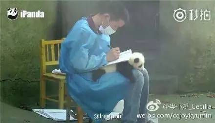 太搞笑了的图片,太搞笑了配图