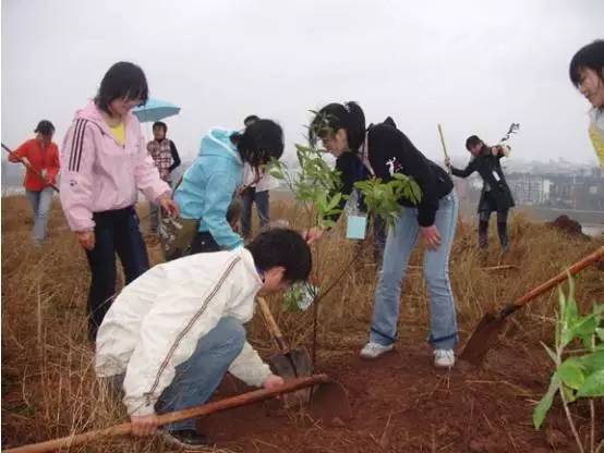 「回眸我们的2016」“细”说白云矿区工青妇红会的2016,如此震撼!