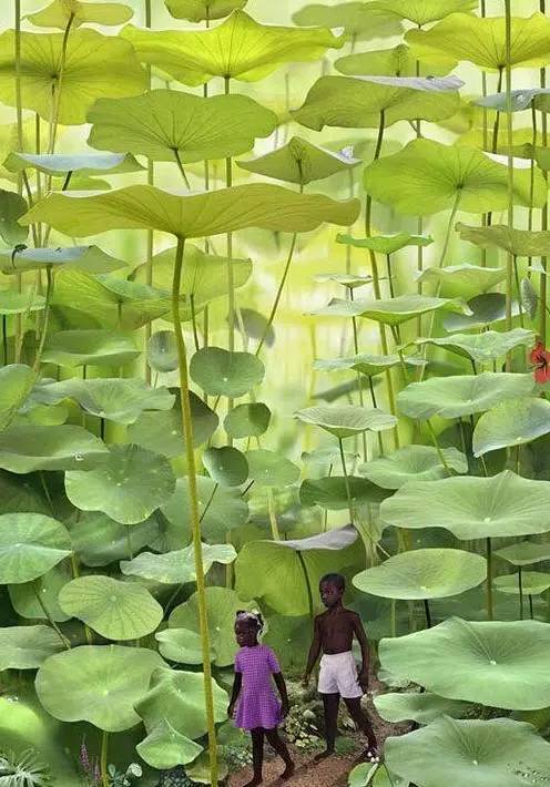 极品风光摄影作品,中国顶级风光摄影网