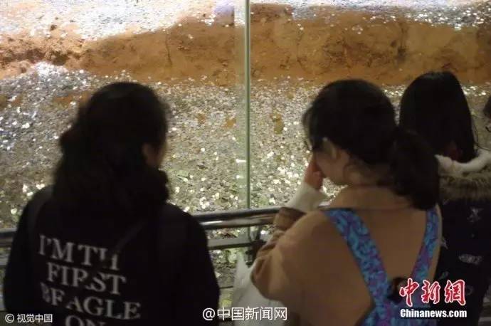 阅天下｜这28种板蓝根千万别碰！会致过敏、腹泻、脑损伤