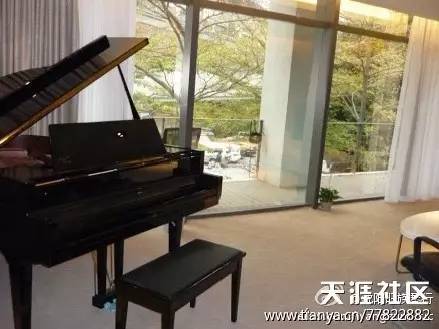 学废了的那么多乐器，其实是你家最好的装饰