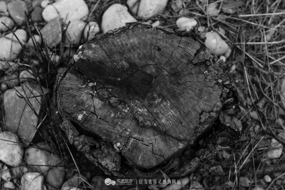 跟着镜头领略震撼心灵的景色,跟随镜头观人文与美景