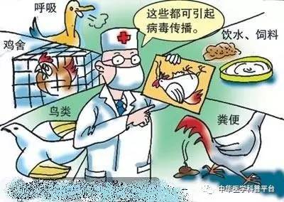 流感来了怎么办动画视频,流感来了怎么办幼儿园