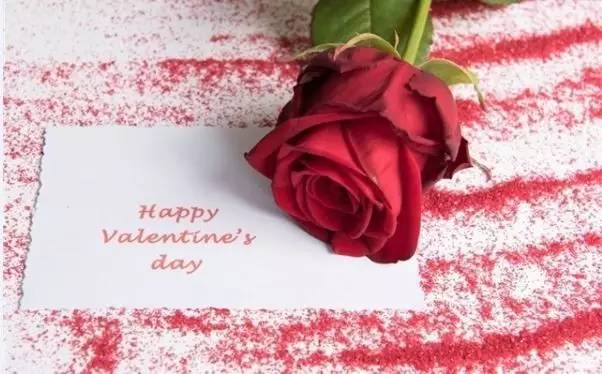 上海世茂皇家艾美酒店丨邀您共享浓情蜜意