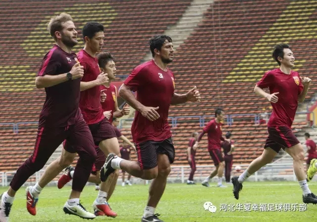 心有猛虎细嗅蔷薇祝福,心有猛虎细嗅蔷薇花开