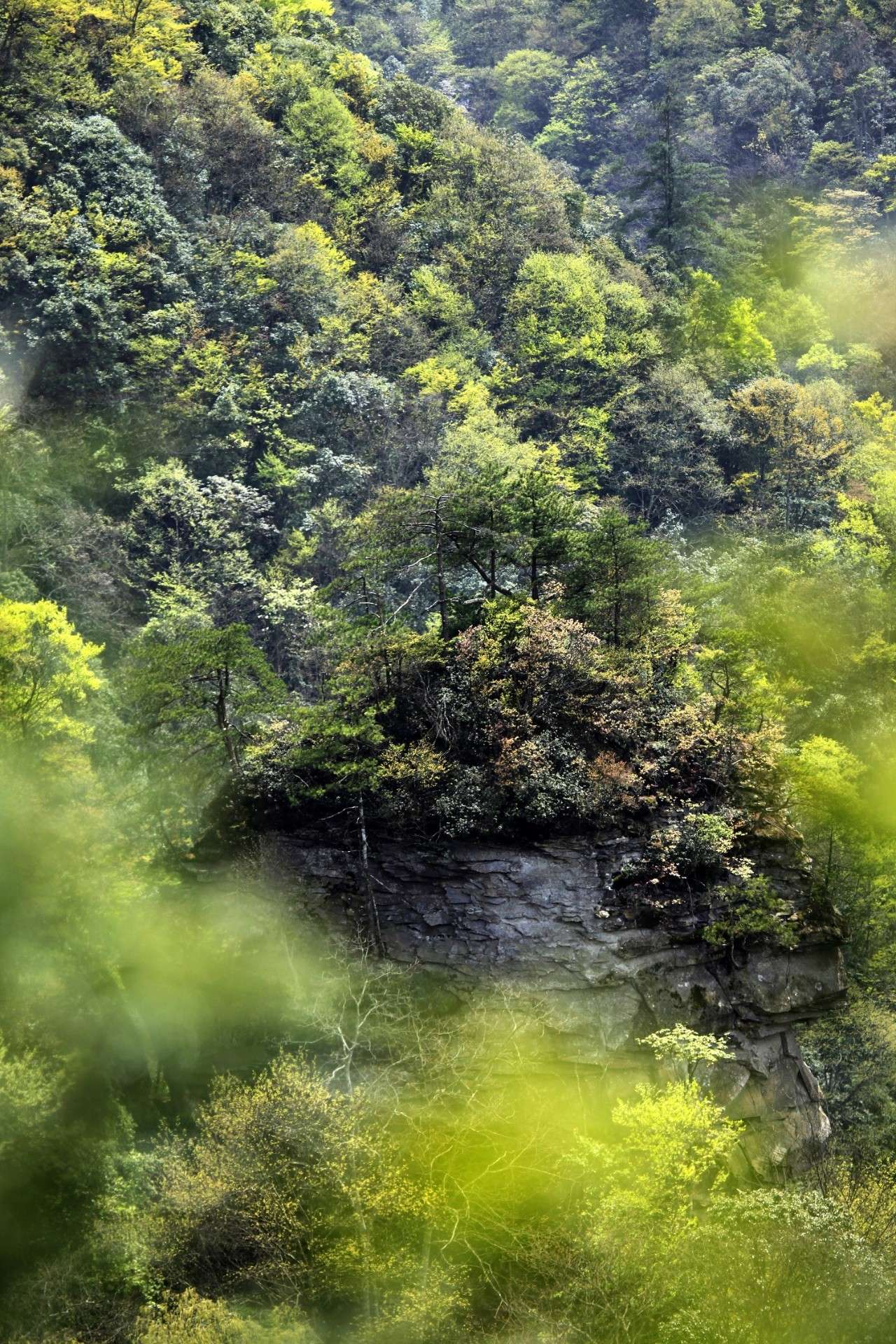 中国最粗壮的石柱,中国最粗壮的天然石柱