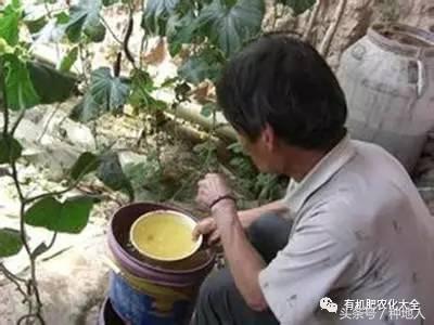 水溶肥在苹果树施用时间表,水溶肥什么时候施用效果好