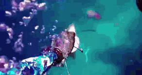 斗地主发牌机多少钱一台,发牌机玩斗地主