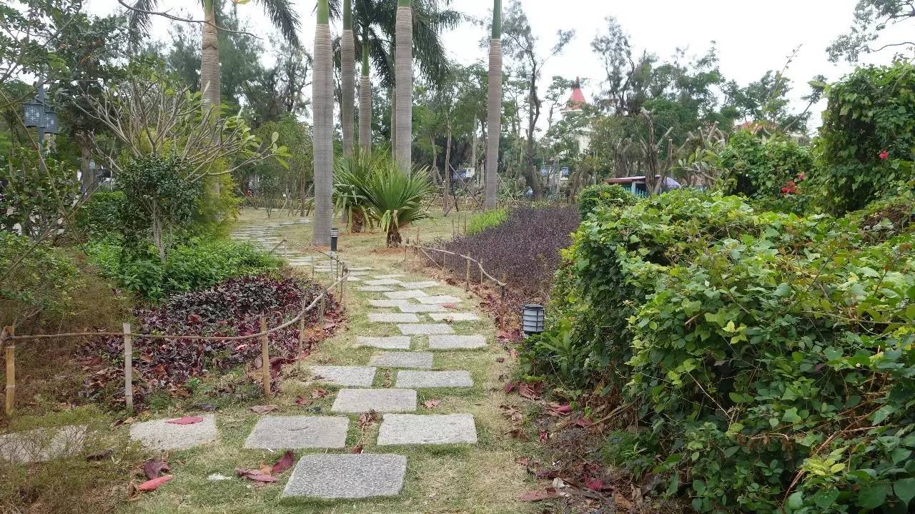 鼓浪屿真的值得去吗,鼓浪屿还敢去玩吗