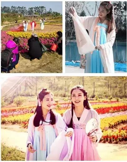 清远最美的花海在什么景点,广东清远花海风景