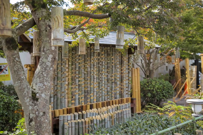 冬日和闺蜜出游,3天2夜的温泉之旅