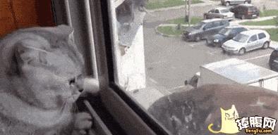 同学聚会十条笑话,同学聚会炫富攀比笑话