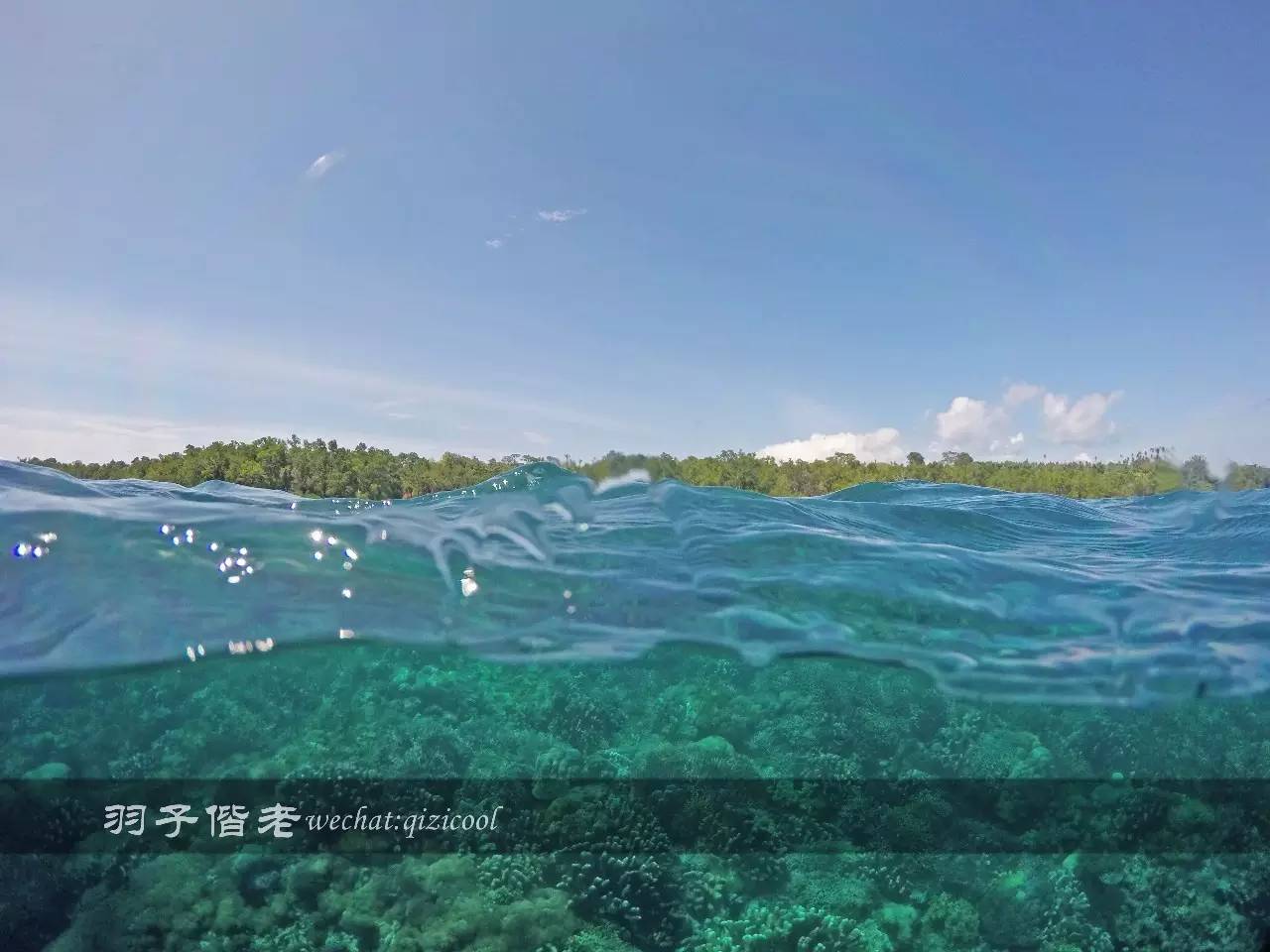 印尼美娜多旅游潜水攻略,印尼美娜多潜水圣地