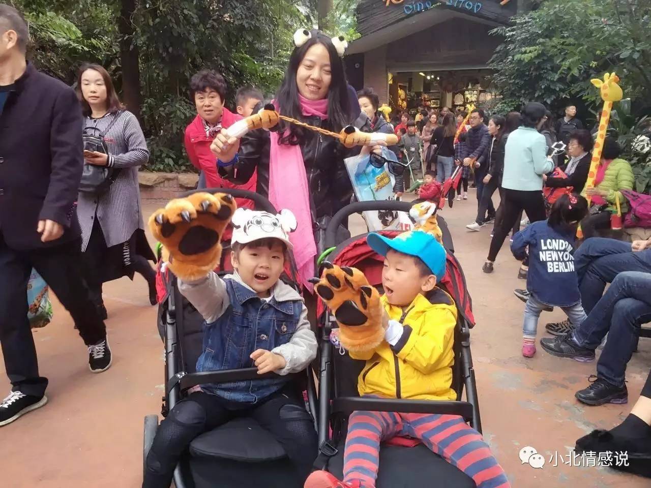 广州长隆野生动物园攻略一日游,广州长隆野生动物园二日游攻略