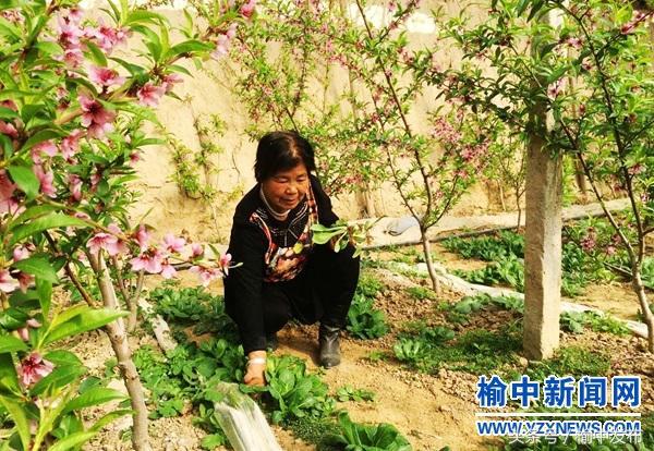 榆中县家乡的年味,秦安年味照片