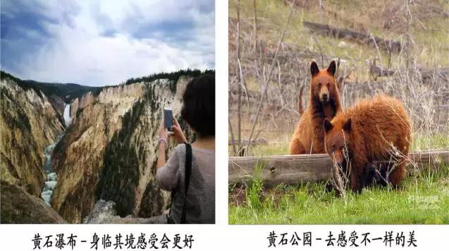 美国黄石旅游详细攻略,美国黄石公园自驾游旅游攻略