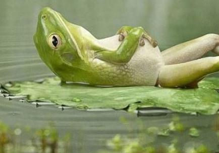 减肥观念是什么,减肥知道体重的误区