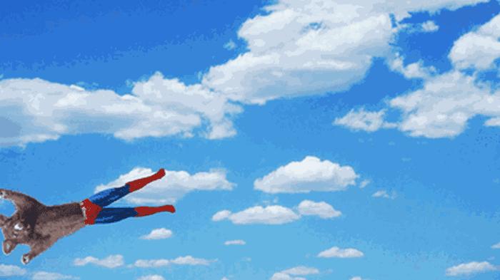 新西兰负鼠与蛇,新西兰负鼠是什么