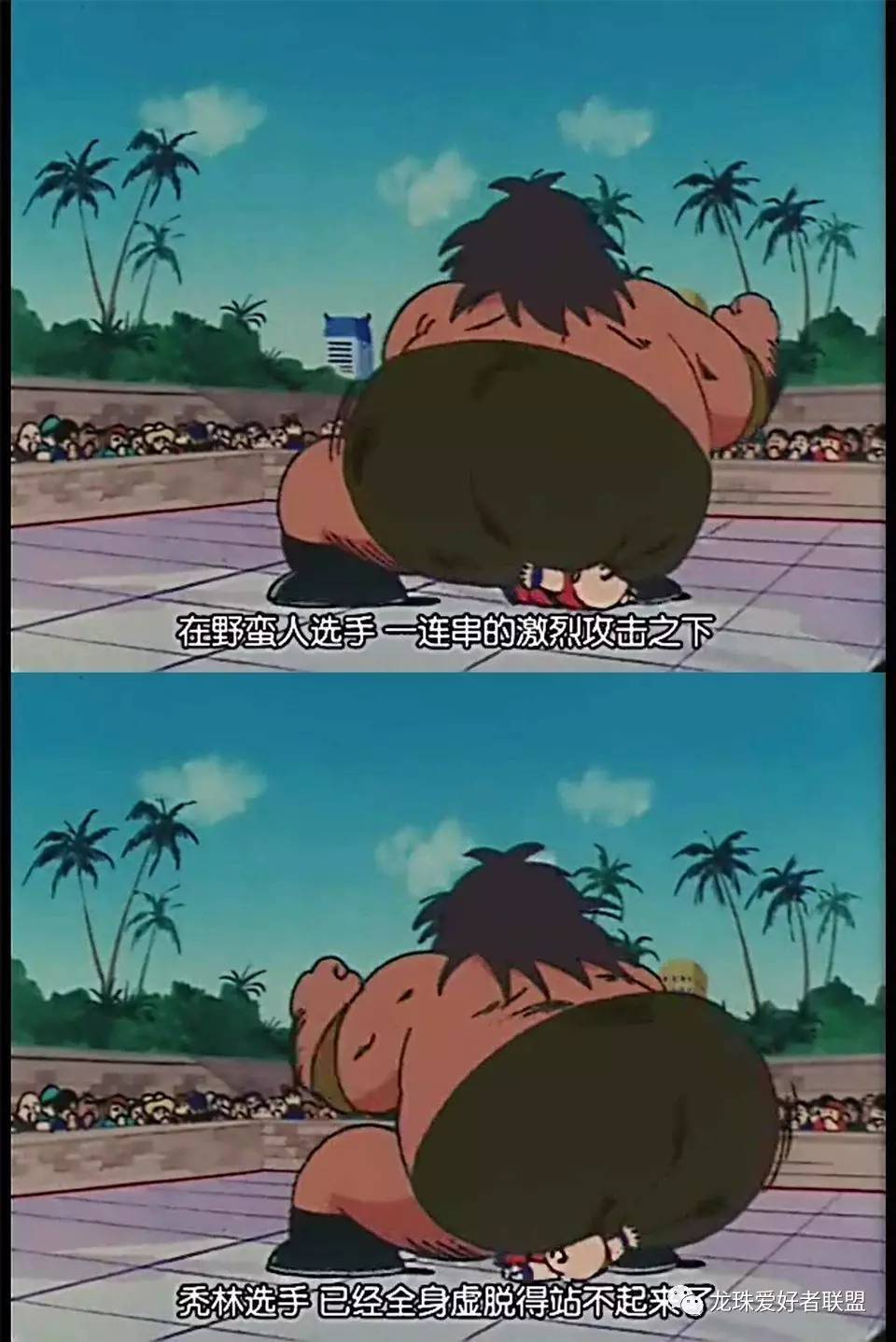 七龙珠小林最强之战,七龙珠第20集