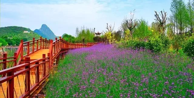 兴义黄果树旅游攻略和费用,天津到黄果树旅游攻略