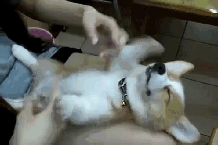 足部养生手法,足部保健有哪些问题