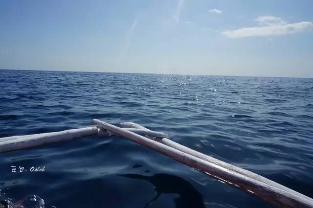 除了鲸鱼海豚还有哪些哺乳动物,除了鲸鲨还有什么鱼比较大