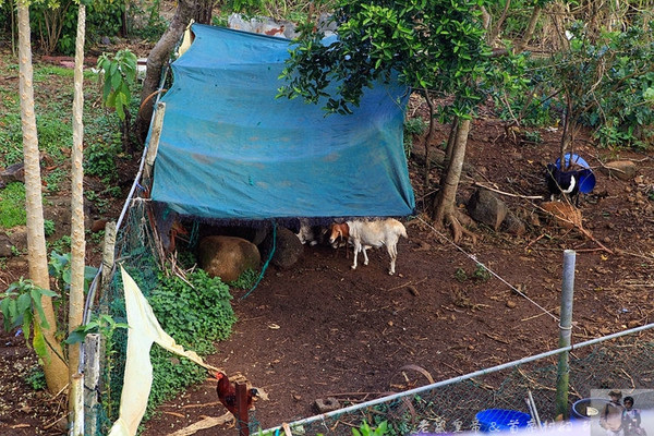 毛里求斯真实生活现状,毛里求斯当地生活