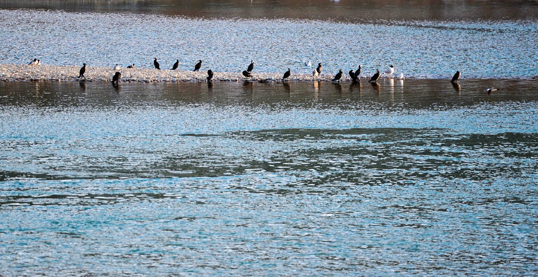 河道被挖开,被挖出来的河