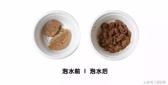 世界十大冻干粮排名,哪个牌子的冻干粮好