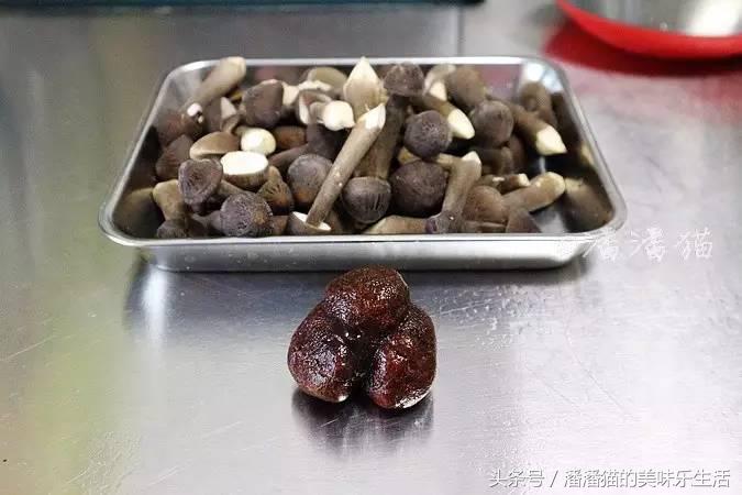 猫家2017年新年联欢晚饭实况报道