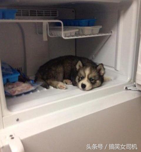 女生的嘴是撅着的,姑娘的嘴