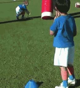 泰迪喝酒喝醉了,泰迪喝醉了怎么办