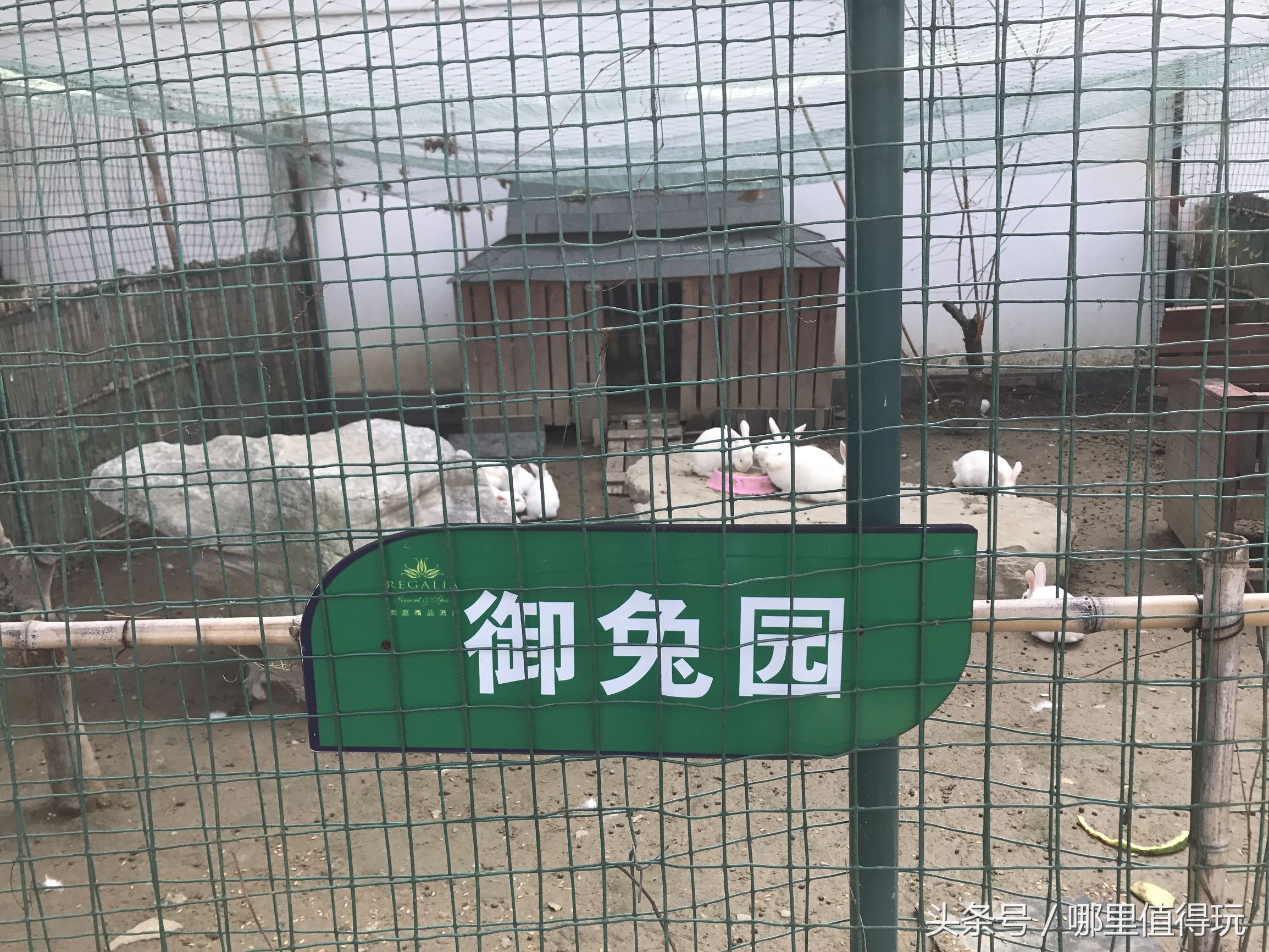 苏州金鸡湖玩耍,苏州金鸡湖游玩顺序