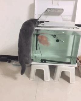 体验一下坐长途客车的感受,坐大巴车长途什么感觉