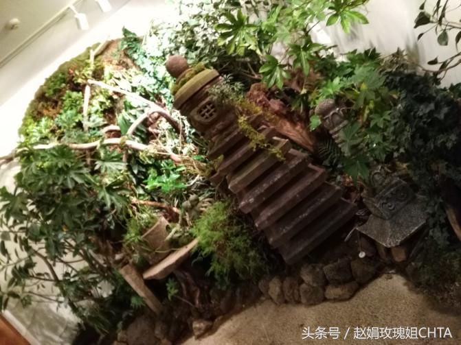 此由志园，非彼幼稚园