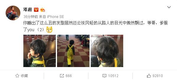 安吉考拉的视频,安吉考拉海边度假