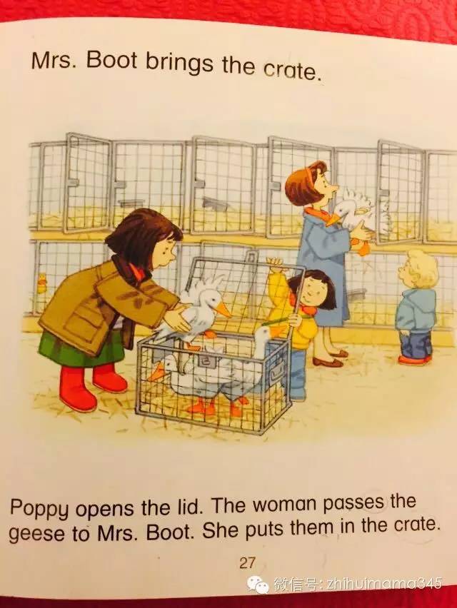 听西西读英文《农场故事集》第二篇：MarketDay