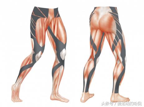 哪个牌子的运动紧身裤最好穿,运动裤小白裤