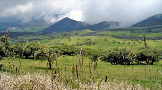 38个对中国免签的国家和地区,2022年7月份旅游值得去的免签国家