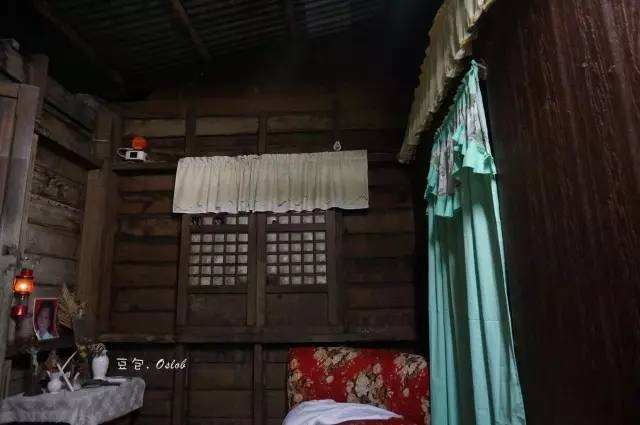 除了鲸鲨，这里还有复活节和GinginLuna的故事