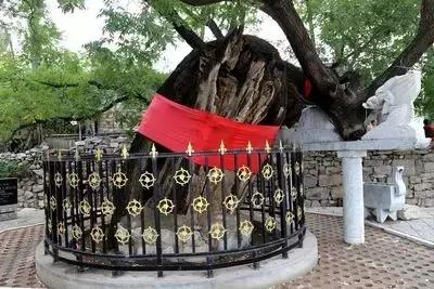 惊呆！还有5毛、1块的火车票，从石家庄出发，沿途景色美到爆！