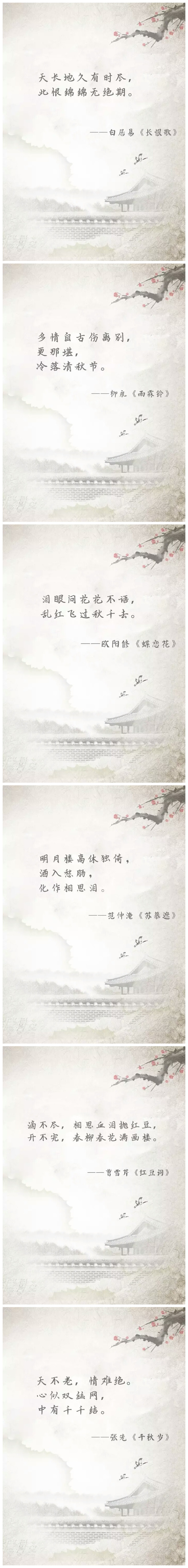 泰迪喝酒喝醉了,泰迪喝醉了怎么办