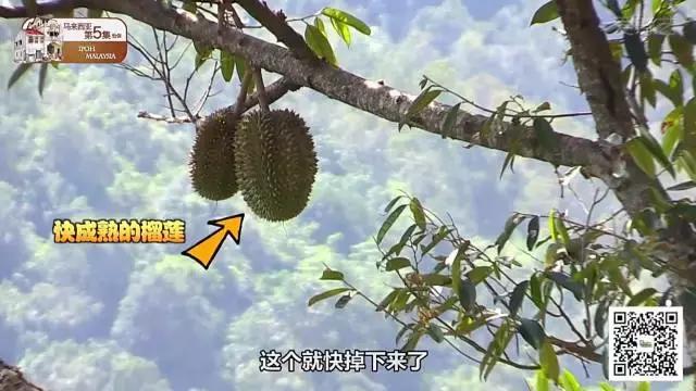 慎--点：这条美味有味道哦……