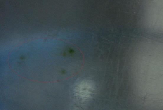 纯净水桶为什么会长青苔,纯净水桶内的青苔怎么处理