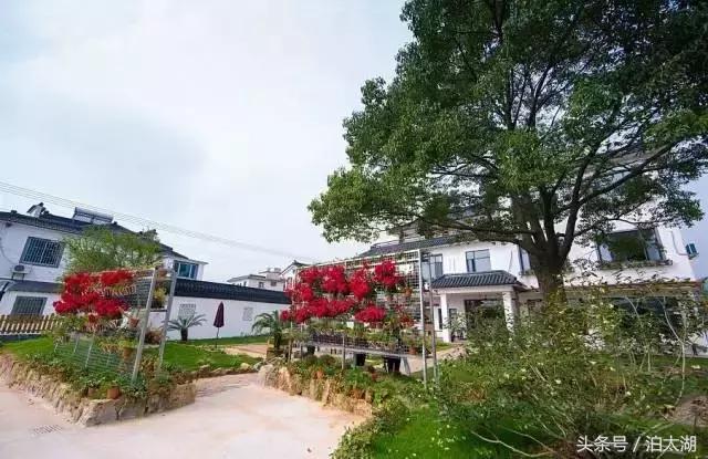 太湖排名前十民宿,太湖边的民宿推荐