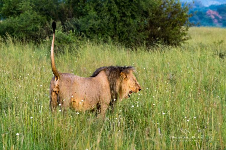 走进彩虹之国感受南非独特之美,彩虹之国南非