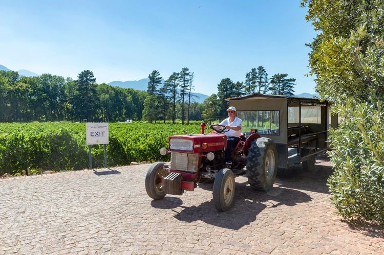 走进彩虹之国感受南非独特之美,彩虹之国南非