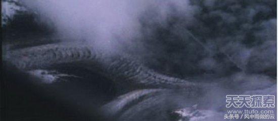 龙存在的证据大全,古代龙真实存在吗